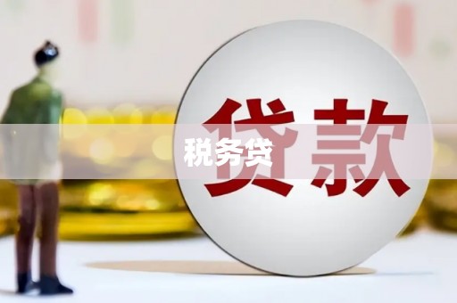 张家港税务贷
