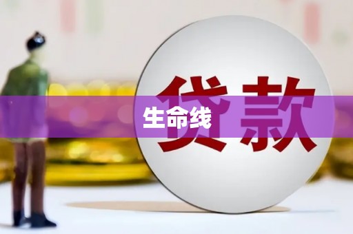 张家港生命线