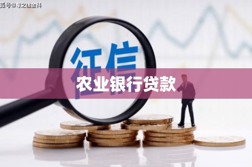 张家港农业银行贷款