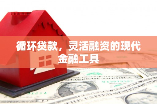 张家港循环贷款，灵活融资的现代金融工具