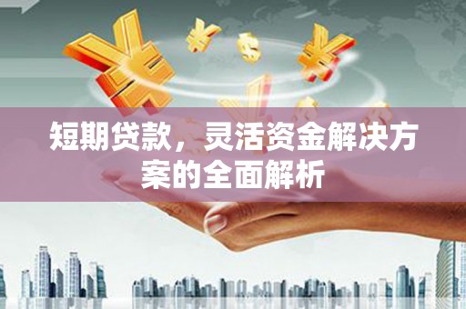 张家港短期贷款，灵活资金解决方案的全面解析