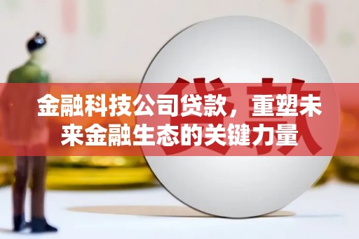 张家港金融科技公司贷款，重塑未来金融生态的关键力量