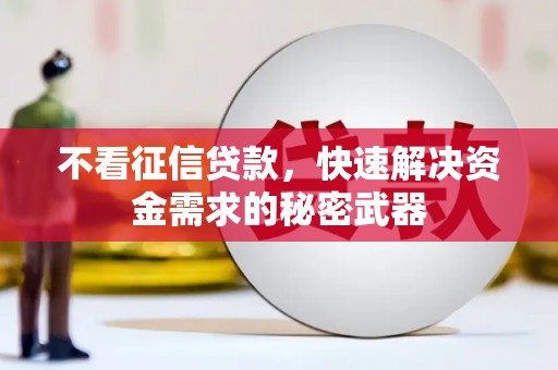 张家港不看征信贷款，快速解决资金需求的秘密武器
