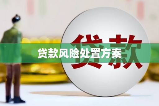张家港贷款风险处置方案