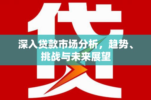 张家港深入贷款市场分析，趋势、挑战与未来展望