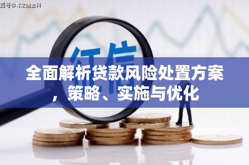 张家港全面解析贷款风险处置方案，策略、实施与优化