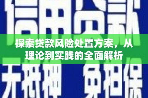 张家港探索贷款风险处置方案，从理论到实践的全面解析