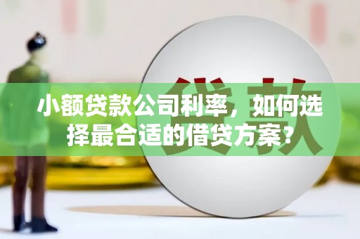 张家港小额贷款公司利率，如何选择最合适的借贷方案？