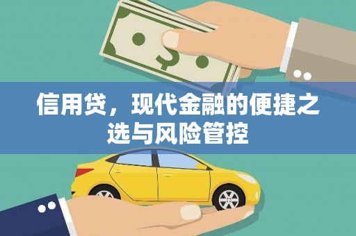 张家港信用贷，现代金融的便捷之选与风险管控