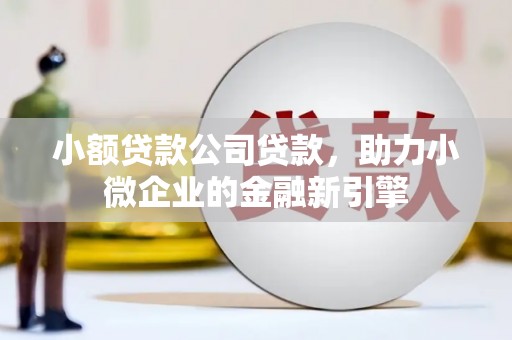 张家港小额贷款公司贷款，助力小微企业的金融新引擎