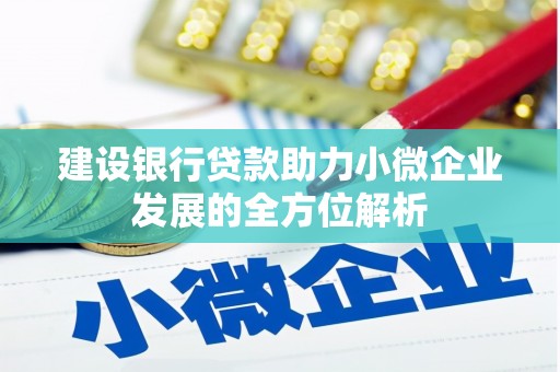 张家港建设银行贷款助力小微企业发展的全方位解析