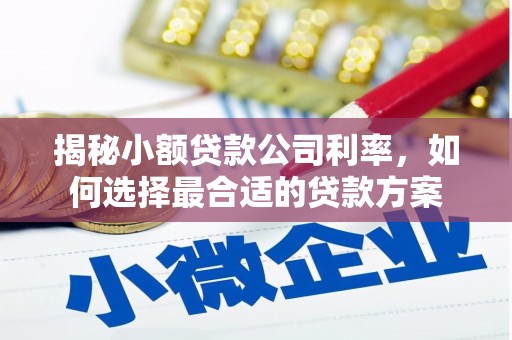 张家港揭秘小额贷款公司利率，如何选择最合适的贷款方案