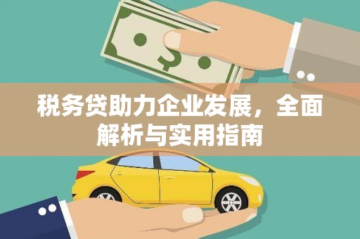 张家港税务贷助力企业发展，全面解析与实用指南