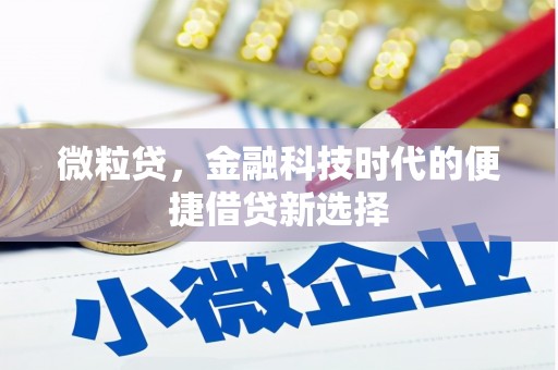 张家港微粒贷，金融科技时代的便捷借贷新选择