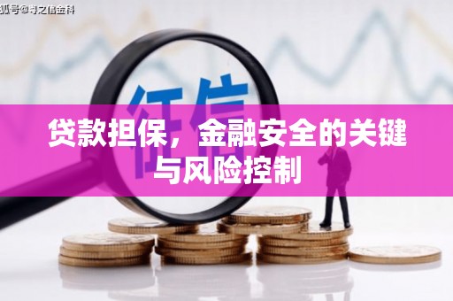 张家港贷款担保，金融安全的关键与风险控制