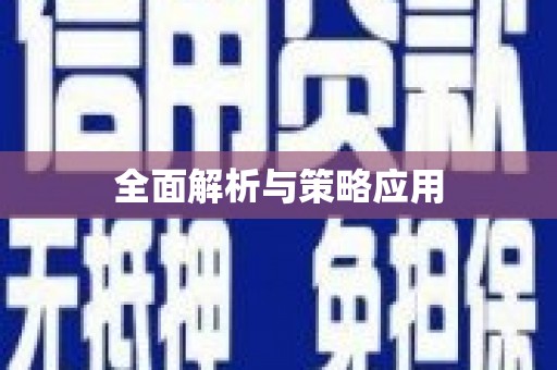 张家港全面解析与策略应用