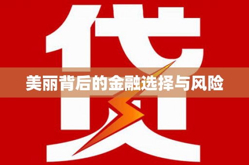 张家港美丽背后的金融选择与风险