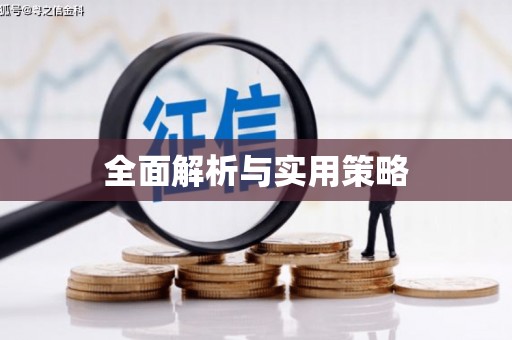 张家港全面解析与实用策略