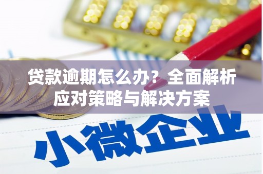 张家港贷款逾期怎么办？全面解析应对策略与解决方案