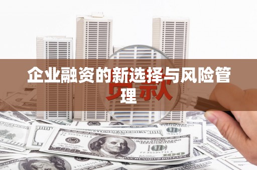 张家港企业融资的新选择与风险管理