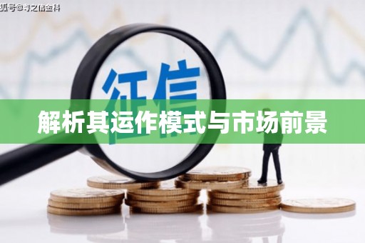 张家港解析其运作模式与市场前景