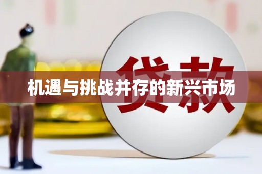 张家港机遇与挑战并存的新兴市场