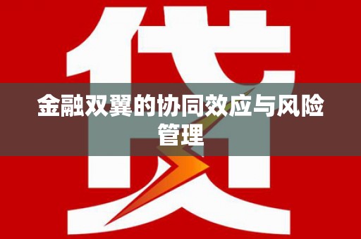 张家港金融双翼的协同效应与风险管理