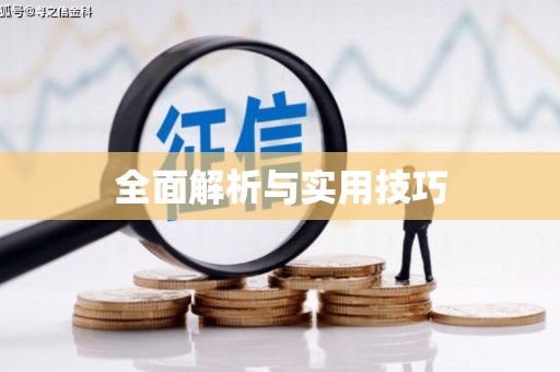 张家港全面解析与实用技巧