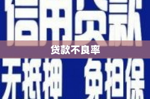 张家港贷款不良率