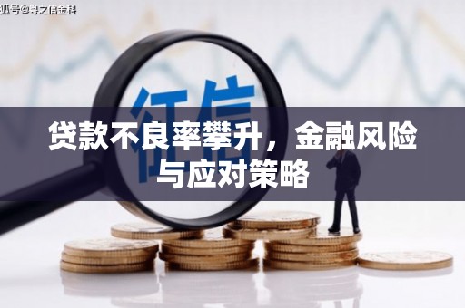 张家港贷款不良率攀升，金融风险与应对策略