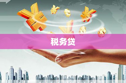张家港税务贷